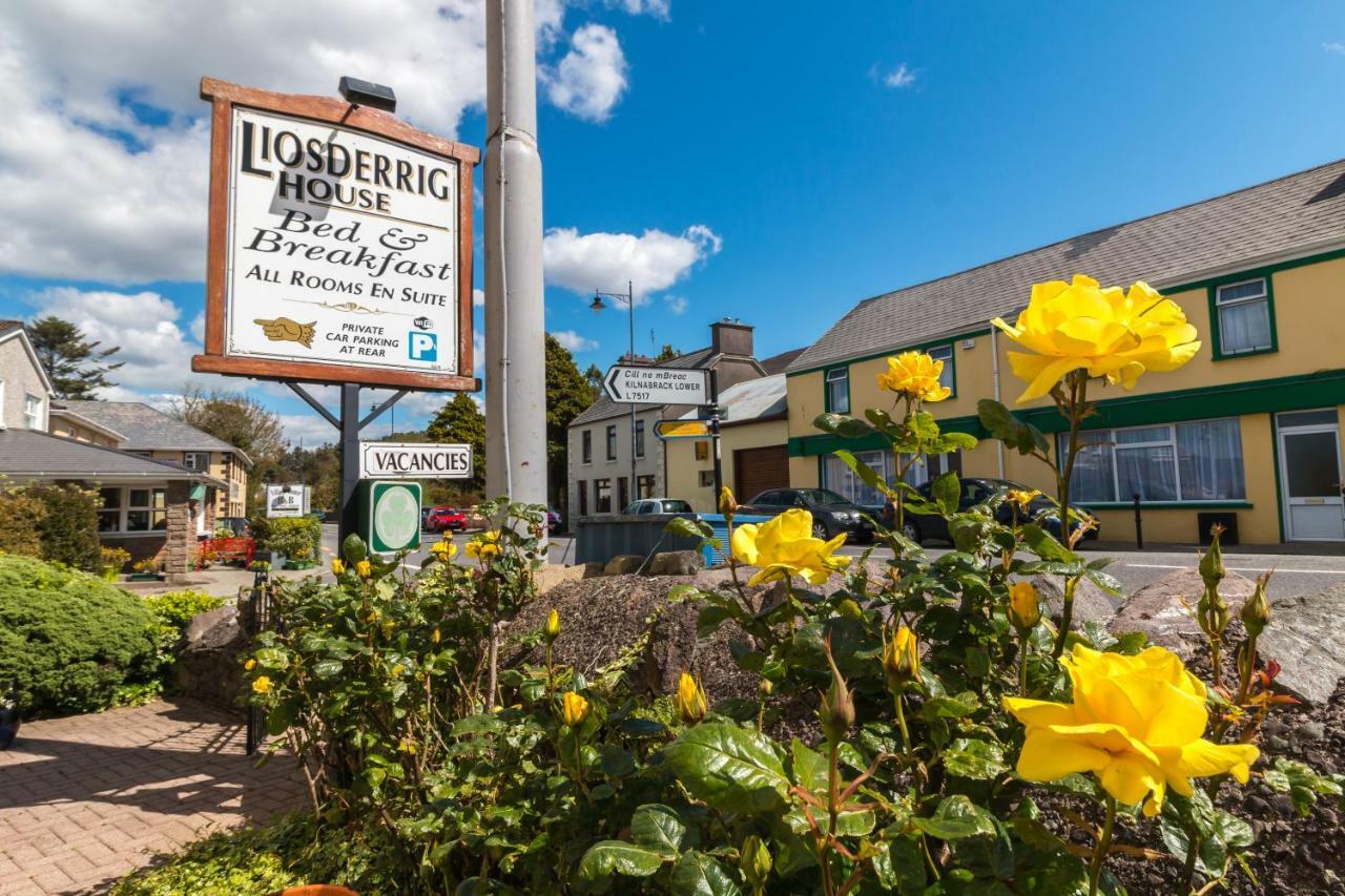 Liosderrig House B&B Гленби Экстерьер фото